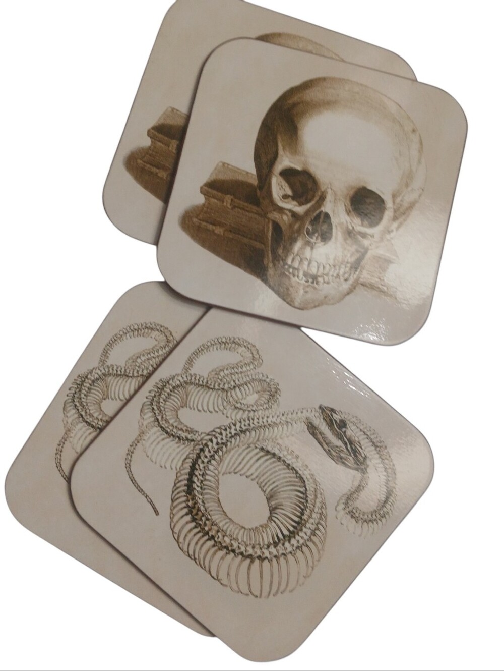 Williams-Sonoma Illustrated Coasters Sepia-Toned Artwork Anatomical Design